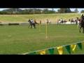 videos de Wales win the Heat.mpg