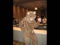 reactor 07 cosplay