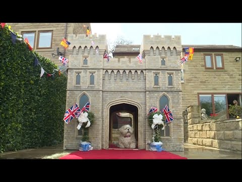 Schloss Windsor als Hundehtte fr einen West Yorkshire