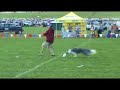 Skye & Sienna - 2008 Disc Dog Southern Nationals - QUALIFIER