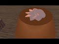 Pud and Jel, Episode Five - Cherry Rat Pud and Jel, Episode Five - Cherry Rat