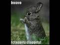 funny cats - icanhascheezburger pics