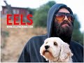 Dark End of the Street (Song) by Eels