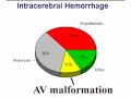 Arterial malformations