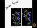 Intro to Biochemistry 4130