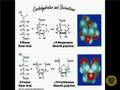 Intro to Biochemistry 4130