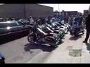 Hogs and Broads Vol. 1 Pt 1