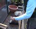Martin Horne's gardening presentation in the Greenhouse