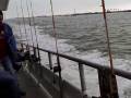 videos de Deep Sea Fishing Trip, Port Aransas, TX, clip 2