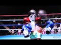 Wii Sports (Boxing)
