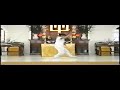 Wang Shu Chin Bagua Swimming Body Form (2 of 2)