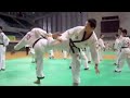 Daehan Hapkido Examination in Korea, Han Moo Kwan