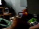 singing contest part 2