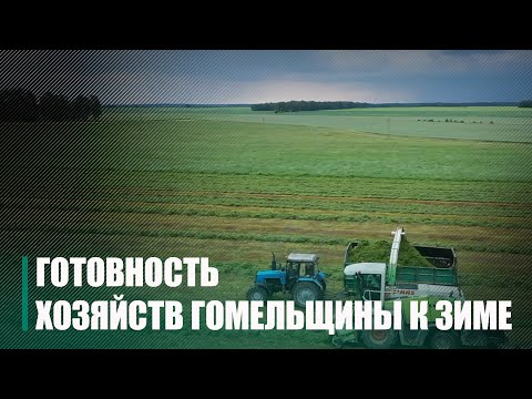 «Есть изменения в лучшую сторону, но этого недостаточно». Крупко проверил готовность хозяйств Гомельщины к зимне-стойловому периоду видео