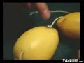 how to turn a lemon into a battery how to turn a lemon into a battery
