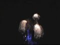 Walt Disney World Fireworks - Wishes Highlights