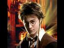 Random harry Random harry