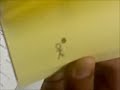 Bored in 1st