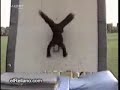 caidas, golpes, bloopers muy graciosos