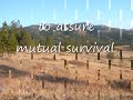 Autism Where Is Your Loved One Going To Be In Twenty Years? Autism Where Is Your Loved One Going To Be In Twenty Years?