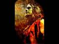 Pantera-rise