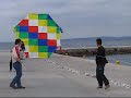 Enourmous Kite
