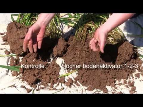 Plocher Bodenaktivator 1-2-3