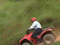 Quadriciclos da Honda