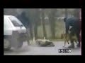 K9