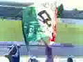 Allarmi siamo Blood honour... Allarmi siamo Blood honour...