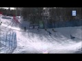 Winter X Games 2012: Women's Skier X Final