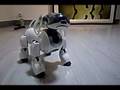 AIBO-in-Office339