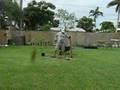 Stop Action Mango Planting with Blind Joe Reynolds