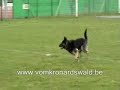 Caya van Esblokhof