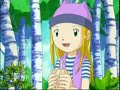 Izumi/Zoe pairings-digimon frontier