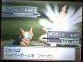 videos de Daakuraii vs Darkrai