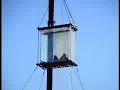 david blaine in london hanging in a glass box for 40 days