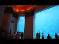 Atlantis Dubai - The Aquarium