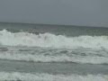 Playa Tetas Competition