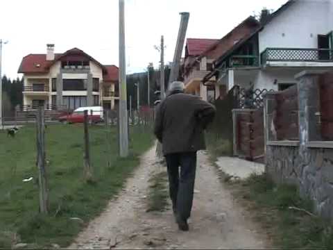 Au furat curent electric din banii publici