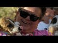 dogtown: from near death to perfect pet