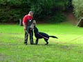 Schutzhund Training