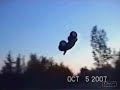 Team Losi LST2 and 8ight-T