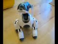 Robot Mayhem... Aibo & Pleo Robot Mayhem... Aibo & Pleo