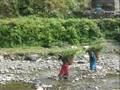 Trekking in Nepal