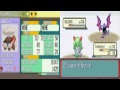 hello everybody and welcome back to another episode of lets play pokemon ruby and sapphire! 2000 subscriber sign up: www.youtube.com pmpbetabattle: www.youtube.com today jacob takes on flannery the fiery fire type gym leader and alex takes on his arch rival archie... no pun intended xd qotd: if you were the leader of the evil organization, what type of pokemon would you and the rest of the organization have? alex would have bug and jacob would have steel! you guys are awesome, thank you for everything! twitter: twitter.com facebook: www.facebook.com