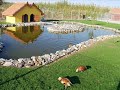 ALACA - ÇORUM - TURKIYE ALACA - ÇORUM - TURKIYE