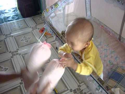 P1050595 - 