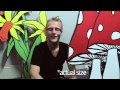 The Axis of Awesome - Learn Guitar Chords (Don't Waste Your Life)