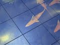 3D interactive projection - lake with fishes DEMO TEST 3D interactive projection - lake with fishes DEMO TEST